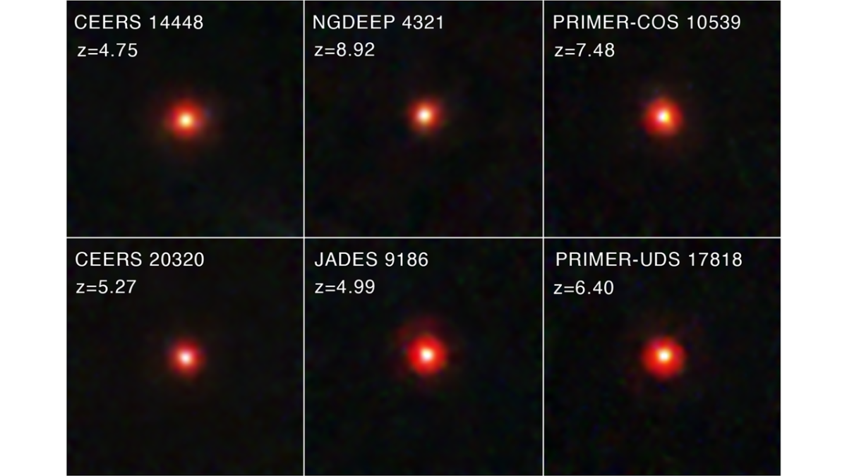 Image cutout of a little red dot from Kocevki 2024